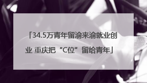 34.5万青年留渝来渝就业创业 重庆把“C位”留给青年